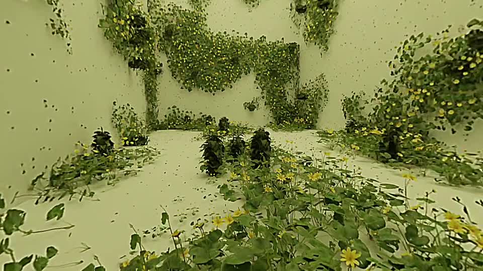 Uno spazio vegetale digitale che avvolge la prospettiva