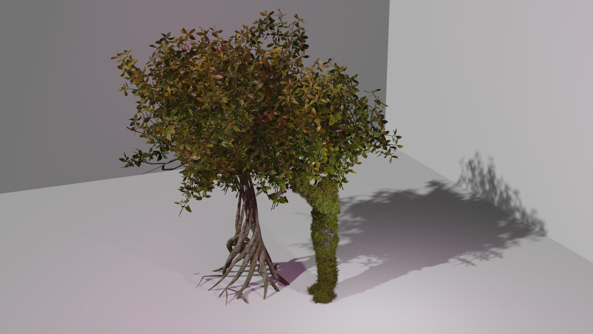 L’incontro tra figura e albero